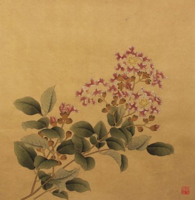 临紫薇图 2014 26X26cm